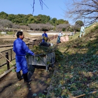 記事サムネイル